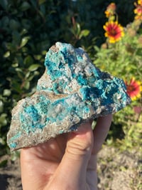 Image 1 of Chrysocolla Psuedomorph 