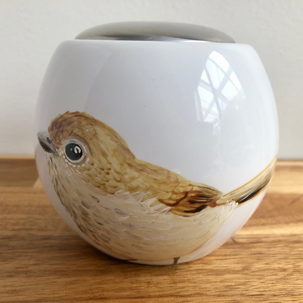 Brown Thornbill Sugar Pot