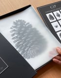 Carpological Collection Box Set