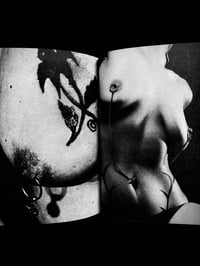 Image 18 of SALE2 - Skin To Skin 