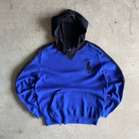 Image 1 of POLO RALPH LAUREN TWO-TONE HOODIE