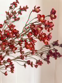 Image 3 of Autumnal Ditsy Branches ( 3 options )