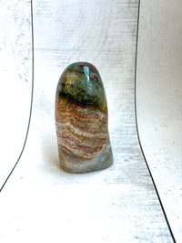Image 3 of 1lb Ocean Jasper 