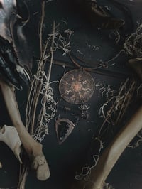 Image 2 of  Scavenger of human sorrow  