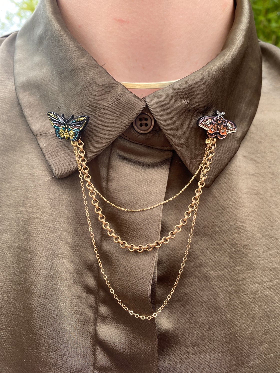 Image of Lepidoptera pin set