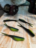 3" Chubby Minnow Split tail - Toadfrog 