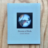 Image 1 of Carol E. Richard’s - Dreams Of Birds