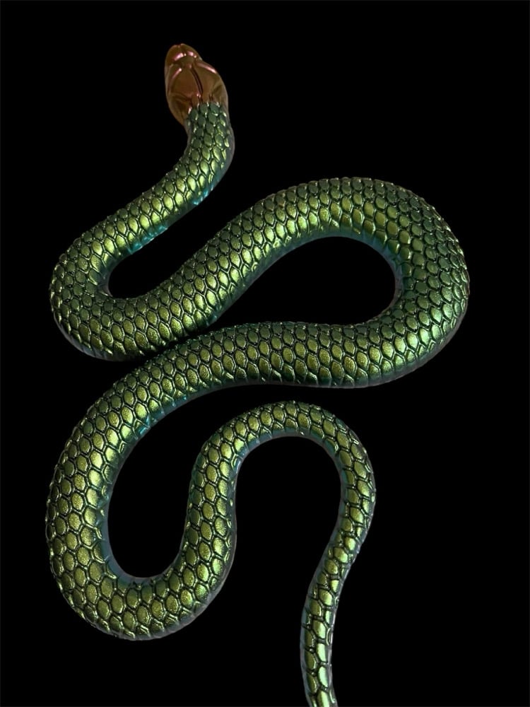 Image of Life Size Snakes