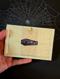 Image 4 of ANTIQUE ANATOMICAL COLLECTION - Preserved web  D