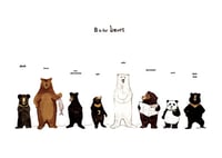 Image 2 of B is for Bears Card