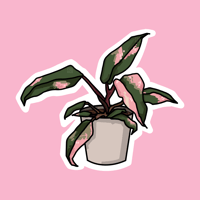 Image 1 of pink princess sticker