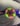 Orange with transparent black. Red and yellow uv
