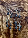 Silver Opihi Earrings 