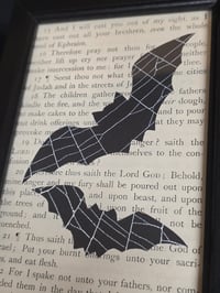 Image 3 of 1800’s biblical BATS with preserved spider web - black framed -3