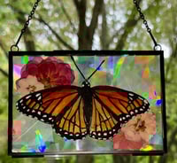 Image 2 of 6x4 Monarch Butterfly 