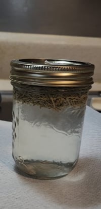 Image 1 of SJE FOOD GRADE GINGER ROOT DROPS Good for weight loss, bloating,upset stomach, and nausea