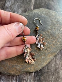 Image 3 of Oak Earrings