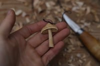 Image 5 of Mushroom pendant 