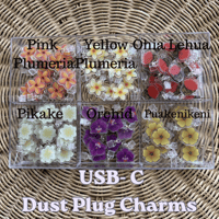 Image 4 of Dust Plug Charm (USB-c Charger)