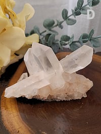 Image 7 of Natural Quartz Small Crystal Cluster 5 Styles