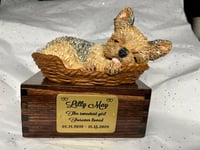 Image 21 of Custom Engraved Yorkie Urn Yorkshire Terrier In Bed Pet Portrait Handmade