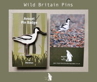 Image 1 of Avocet - #9 - Wild Britain Series 