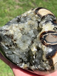 Image 12 of Septarian Nodule Polished Freeform With UV Calcite Inclusions| Madagascar #2893