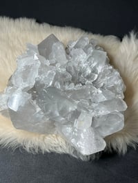 Image 15 of Grey Phantom Quartz Points Cluster #2244