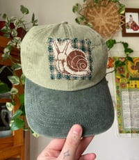 Image 3 of Patchy Caps