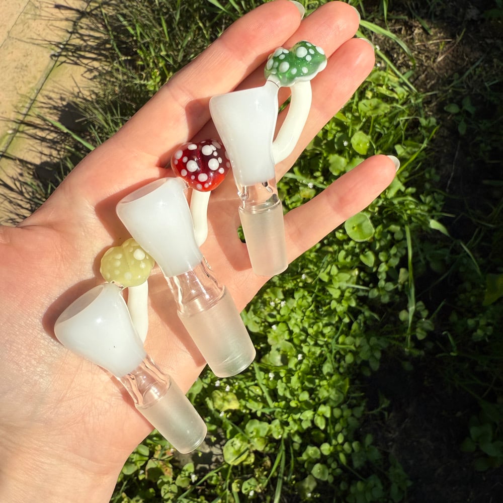 Image of Heart Mushroom Slides