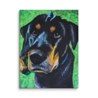Image 1 of Rottweiler Shar-pei