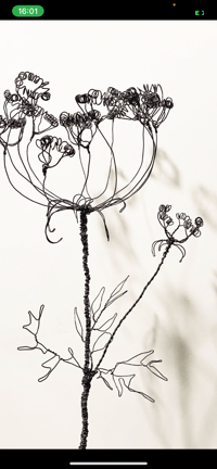 Image 4 of Wire Seed Head Sculpture