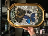 Image 1 of Morpho Memorial