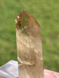 Image 3 of Natural Citrine Point #1850