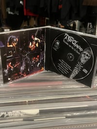 Image 2 of CD The Chasm «Reaching the Veil of Death» 2nd Press