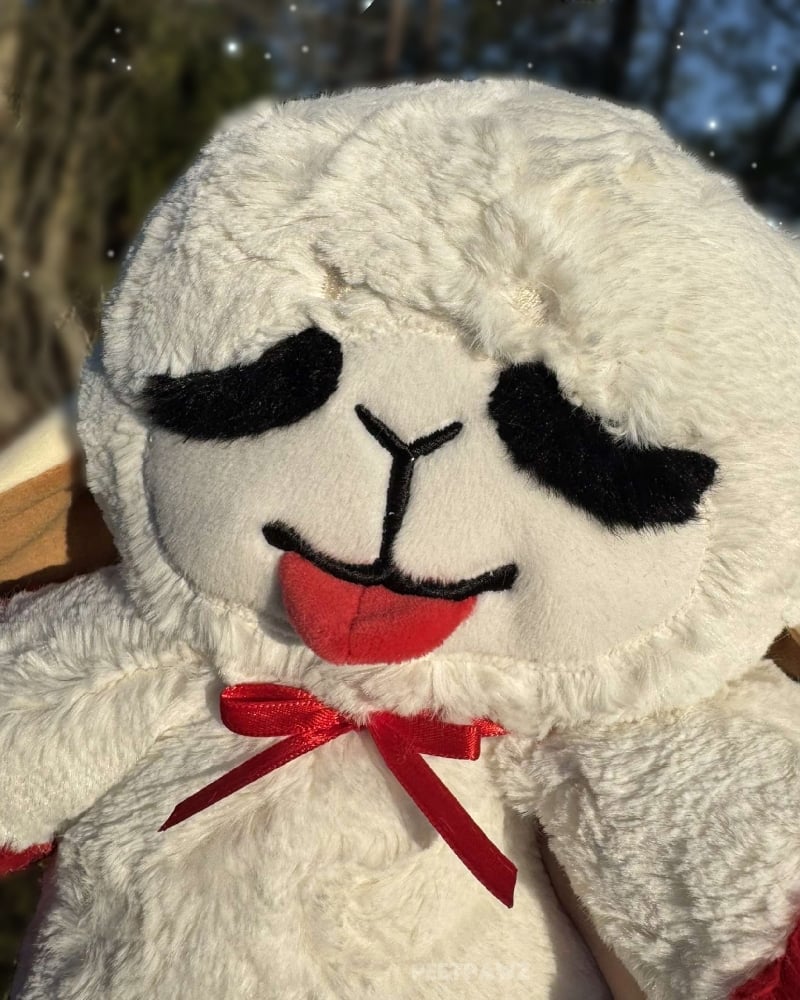 Image of Lamb Chop Pal