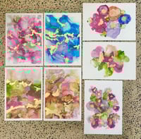 Image 4 of ‘Ranuculus’ ~ A3 Print