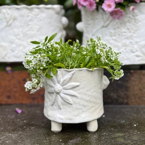 Image of Small Flannel Flower Vase/ Cachepot (4267)