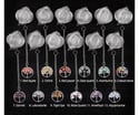Tea Filter Stainless Steel: Energy crystal