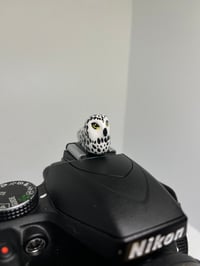 Image 3 of Snowy Owl Hotshoe Cover