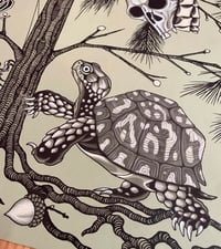 Image 1 of Appalachian tree of life