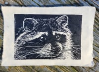 Raccoon Print