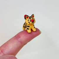 Image 2 of Mini Jellybean Tigers 