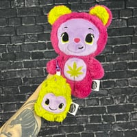 Image 2 of MUNCHKIN & CHARM- Sugar Cane Duo