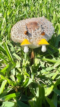 Image 2 of Mushies 