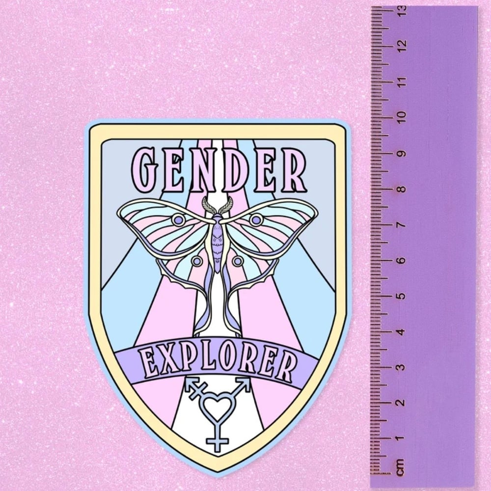 Image of Gender Explorer Large Vinyl Sticker