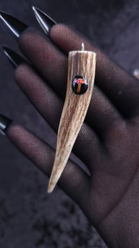 Image 9 of Antler and mushroom pendant