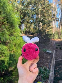 Image 5 of baby pan bee