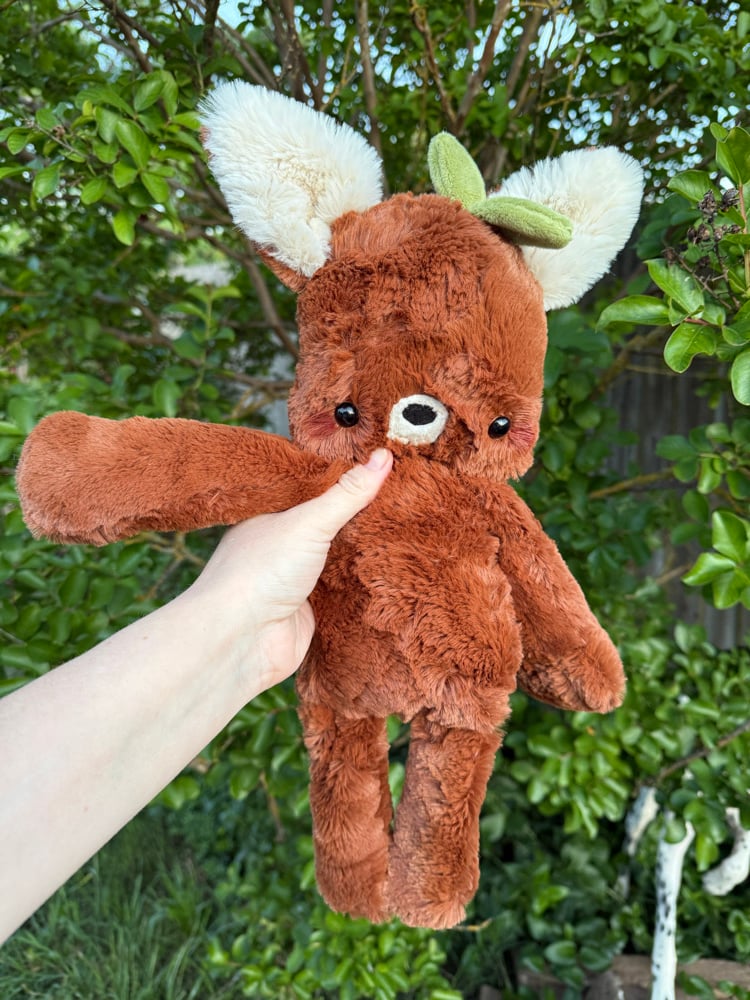 Image of Sprout the fox