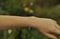 Image of Boulder Opal Armband